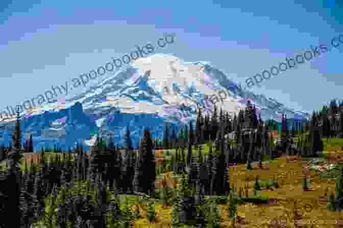 A Breathtaking Aerial View Of Mount Rainier National Park In Washington, Showcasing Its Snow Capped Peak And Surrounding Alpine Meadows. Pines To Palms: A West Coast Road Trip Adventure