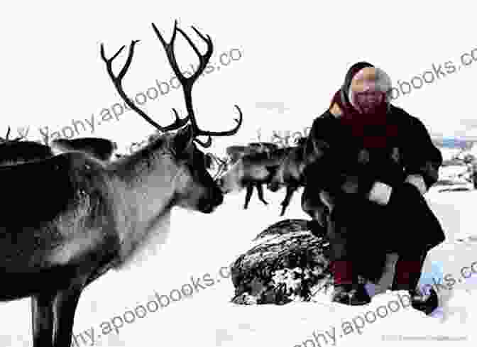 A Breathtaking Image Of A Reindeer Herder Standing Amidst A Vast Arctic Landscape, With Towering Snow Capped Mountains And A Vibrant Orange Sky. Reindeer Herders In My Heart