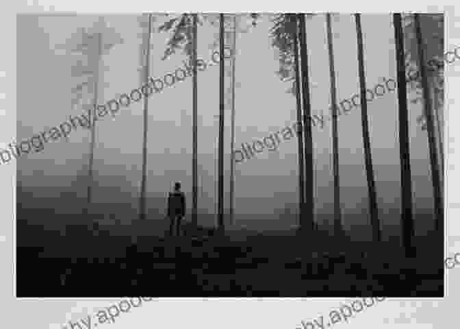 A Captivating Photograph By David Wakefield, Featuring A Solitary Figure Standing Amidst A Vast And Breathtaking Landscape. Trucks In The 1980s: The Photos Of David Wakefield