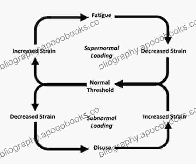 A Diagram Illustrating The Negative Consequences Of Excessive Data Driven Assessment Making Assessment Work For Educators Who Hate Data But LOVE Kids