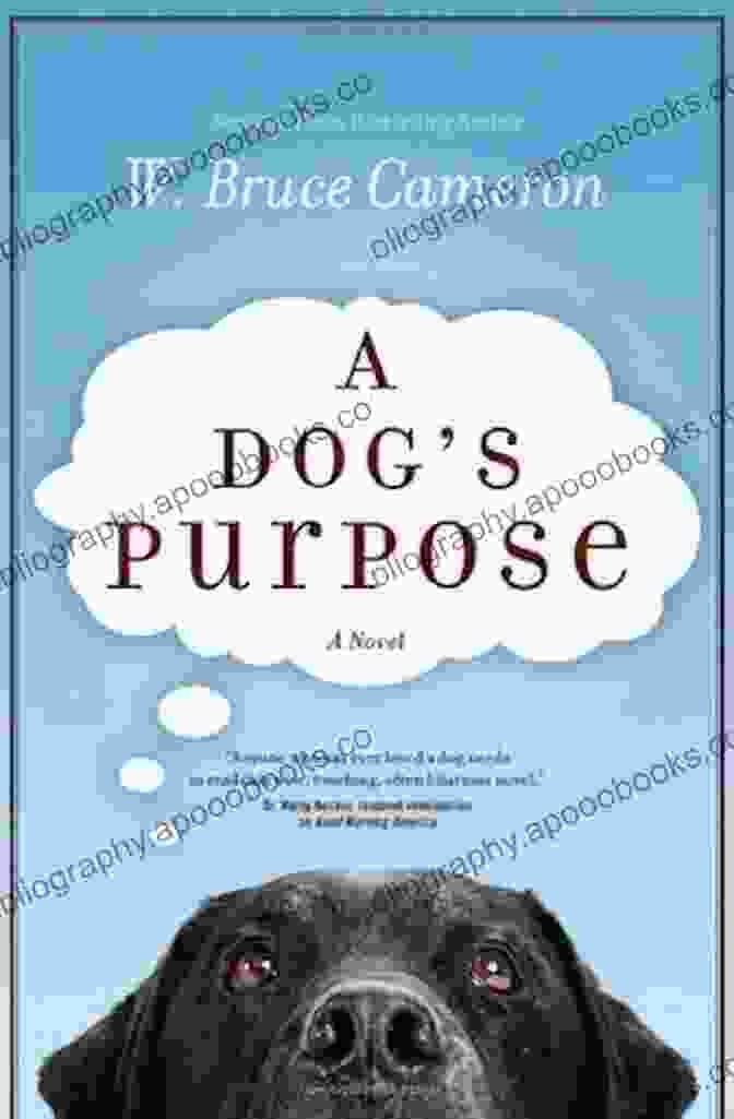 A Heartwarming Book Cover Featuring A Playful Cat And Dog. Who Me? Meet The Crew: Super Short Stories Of My Life With 3 Cats And 2 Dogs