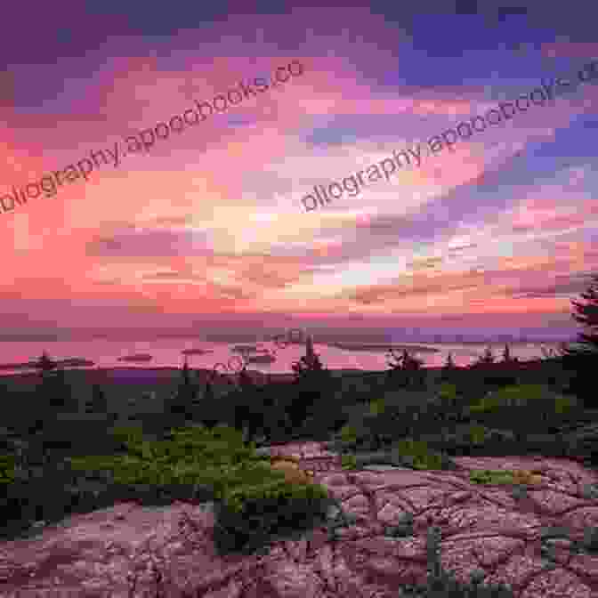 A Majestic View Of Cadillac Mountain, The Highest Peak On The U.S. Atlantic Coast A Summer In Maine Tom Poland