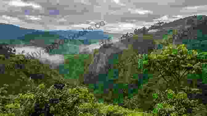 A Panoramic View Of South Africa's Stunning Landscape, Showcasing Rolling Hills, Lush Greenery, And A Distant Mountain Range Under A Clear Blue Sky. After The Dance: Travels In A Democratic South Africa