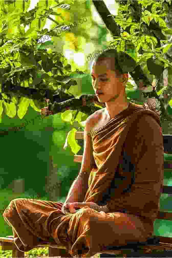 A Serene Monk Meditating In A Zen Garden Beyond Happiness: The Zen Way To True Contentment