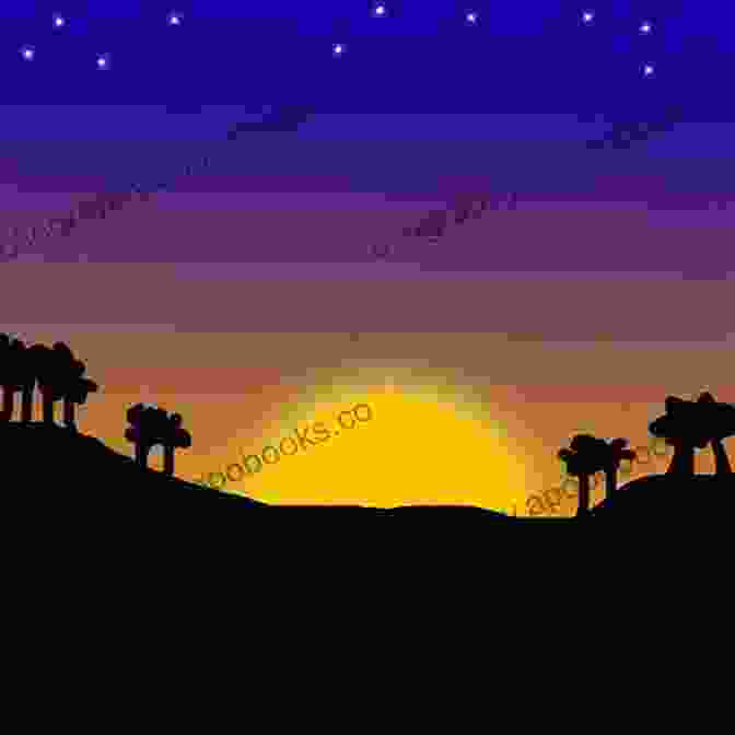 Book Cover Of 'Naïve In Paradise' Featuring A Silhouette Of A Woman On A Beach With A Sunset In The Background Naive In Paradise (Florida Keys Mystery 22)