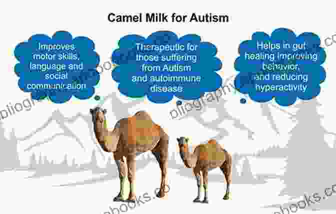 Camel Milk For Autism Camel Milk A Hope To Heal Autism (Camel Milk For Autism 1)