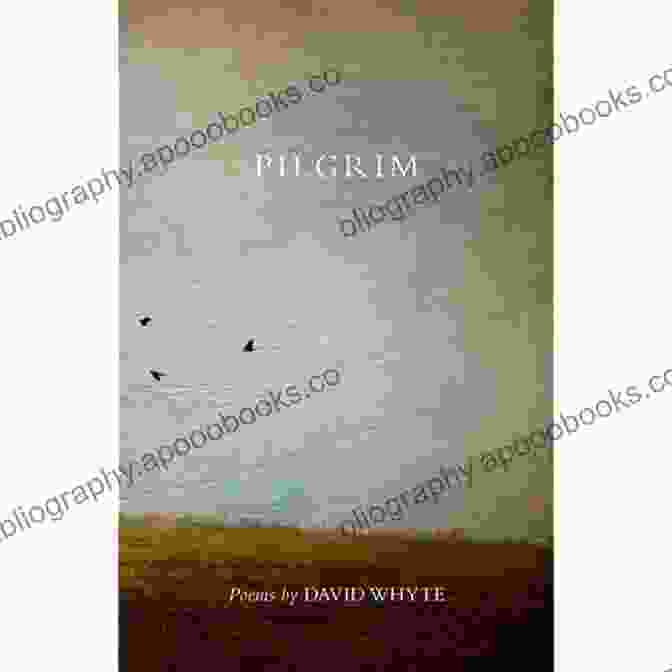 Cover Of The Book Pilgrim By David Whyte Pilgrim David Whyte