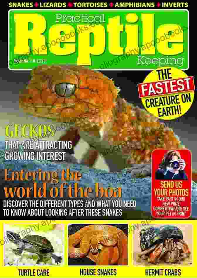 Cover Of The Book 'Practical Reptile Keeping' Practical Reptile Keeping August 2024