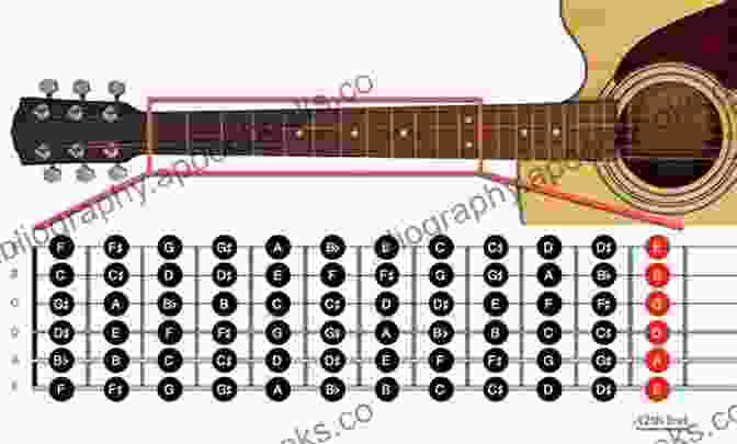 Detailed Diagram Showing The Different Sections Of The Guitar Fretboard, Including The Nut, Frets, And Inlays The Guitar Fretwork Compendium Part I: Major And Minor Triad Shapes