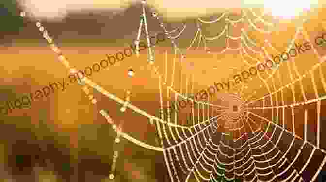 Dewdrops Glistening On A Delicate Spider's Web 5 7 5: A Of Haiku