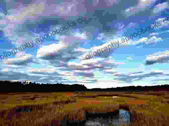 Great Bay National Estuarine Research Reserve With A View Of The Marsh And Distant Mountains GREATER THAN A TOURIST PORTSMOUTH NEW HAMPSHIRE USA: 50 Travel Tips From A Local