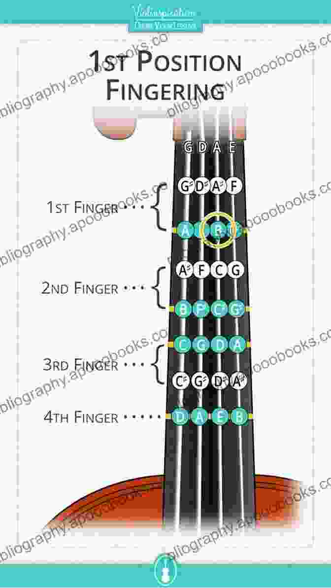 Image Of A Violin Fingerboard With Circled Master Positions Decoding The Violin Fingerboard Vol 2 Master Positions