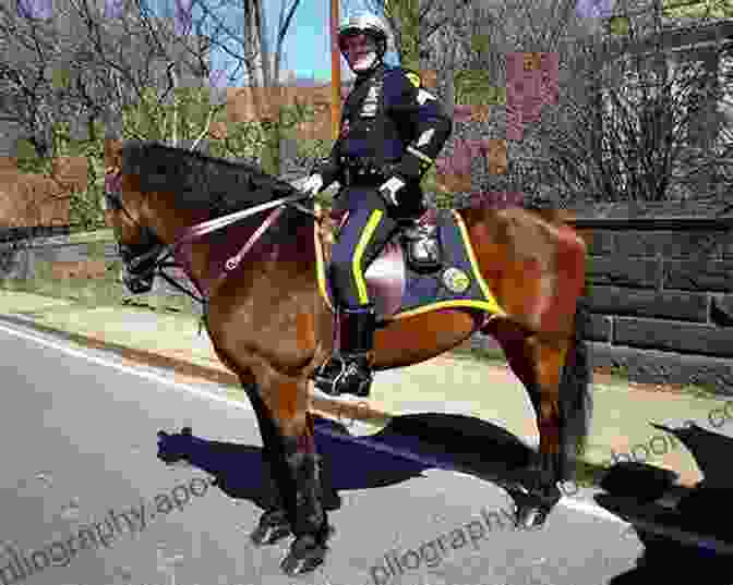 Officer On Horseback Leading Troops Winchester (The Landon Saga 11)