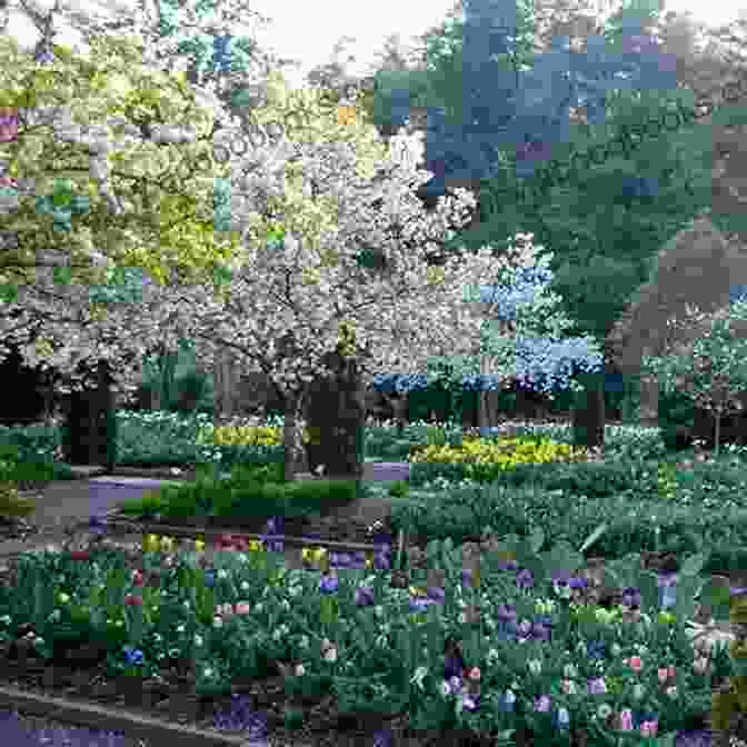 Serene Shot Of Duke University Gardens With Colorful Flowers And Lush Greenery A Walking Tour Of Durham North Carolina (Look Up America Series)