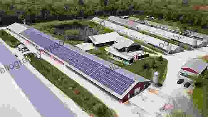 Solar Panels On Top Of A Poultry Farm LAYERS FARMING: The Complete Guide To Raising Poultry For Egg Production (Farm Management)