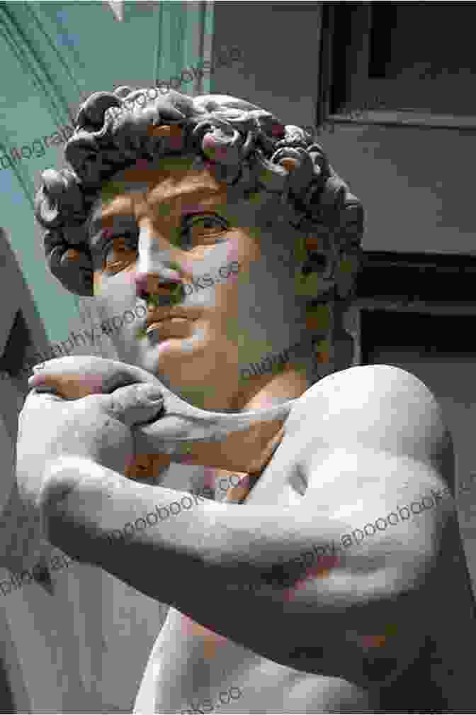 The David, A Marble Sculpture By Michelangelo, Depicting The Biblical Figure David Defiant Braceros: How Migrant Workers Fought For Racial Sexual And Political Freedom (The David J Weber In The New BFree Downloadlands History)