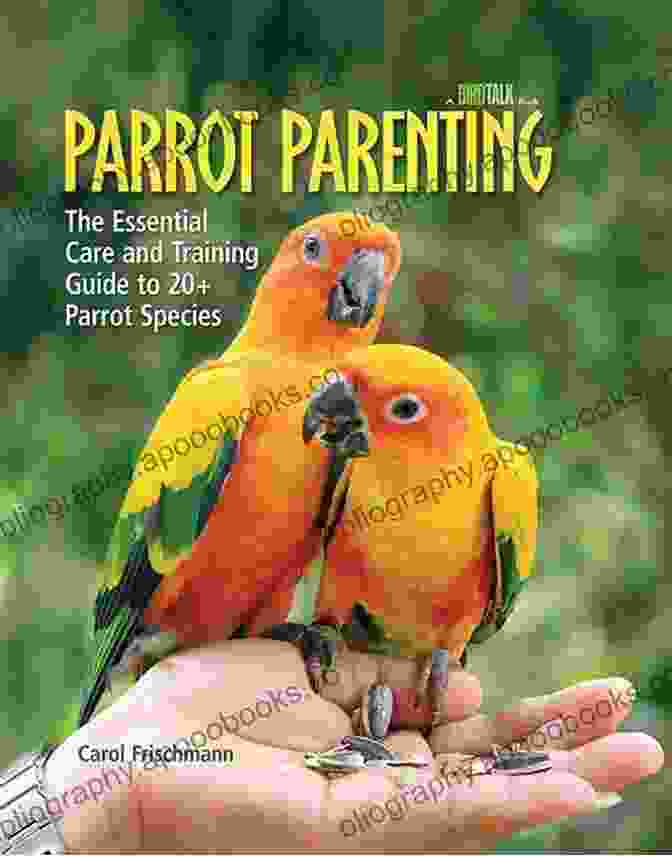 The Essential Care And Training Guide To 20 Parrot Species Parrot Parenting: The Essential Care And Training Guide To +20 Parrot Species (Birdtalk)