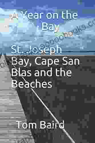 A Year on the Bay St Joseph Bay Cape San Blas and the Beaches