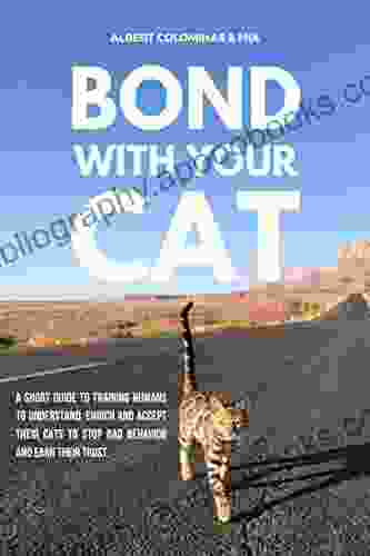 Bond With Your Cat: OutdoorBengal