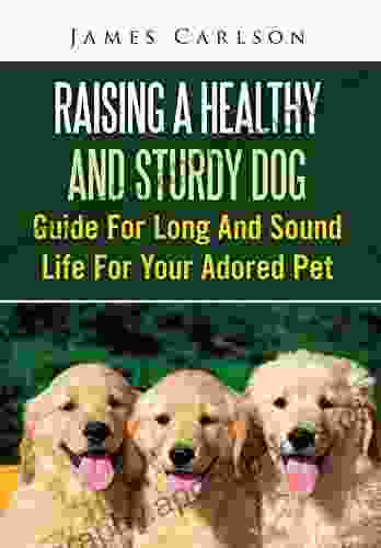 Raising A Healthy And Sturdy Dog: Guide For Long And Sound Life For Your Adored Pet