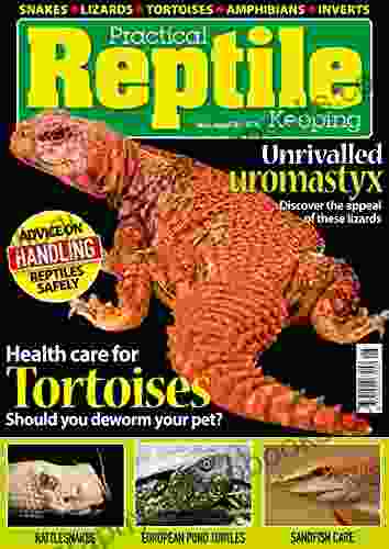 Practical Reptile Keeping August 2024