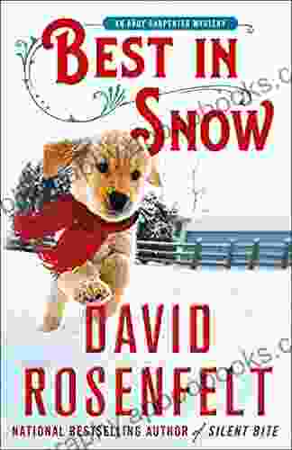Best In Snow: An Andy Carpenter Mystery (An Andy Carpenter Novel 24)